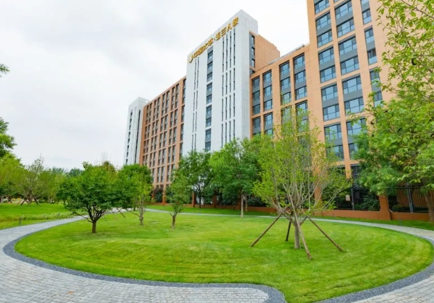 1724395229156056179.png 11.png